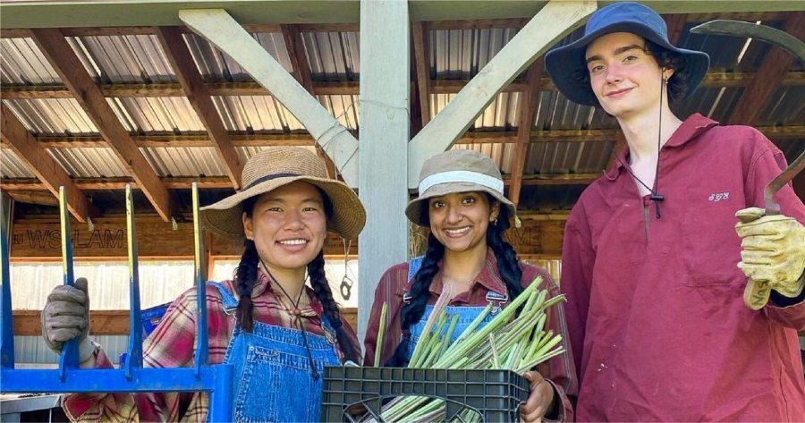Changes to the Carleton Student Organic Farm