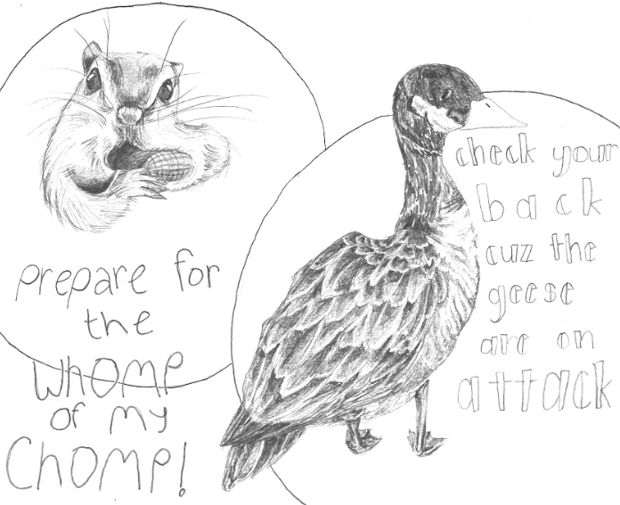 The saga of the goose and the squirrel rivalry
